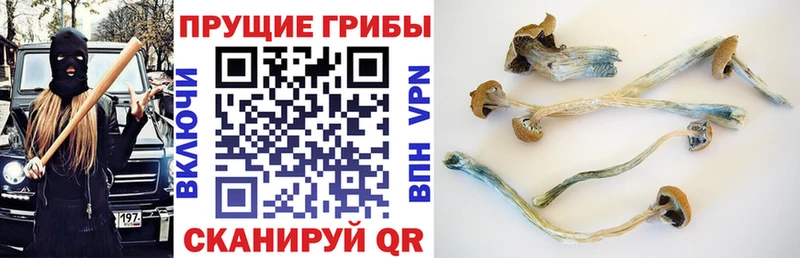 Псилоцибиновые грибы GOLDEN TEACHER  mega ONION  Тобольск 